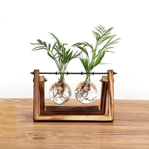 Glass Bulb Vases with Wooden Stand