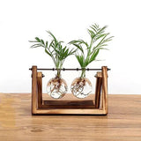 Glass Bulb Vases with Wooden Stand